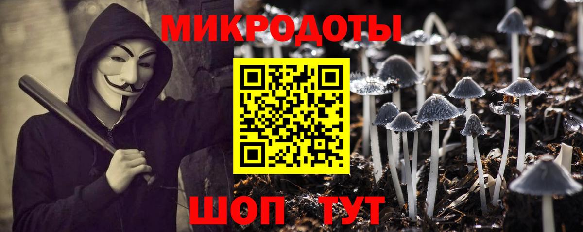 Галлюциногенные грибы MAGIC MUSHROOMS  Псилоцибиновые грибы мицелий  Петрозаводск  даркнет сайт  Вход с VPN 