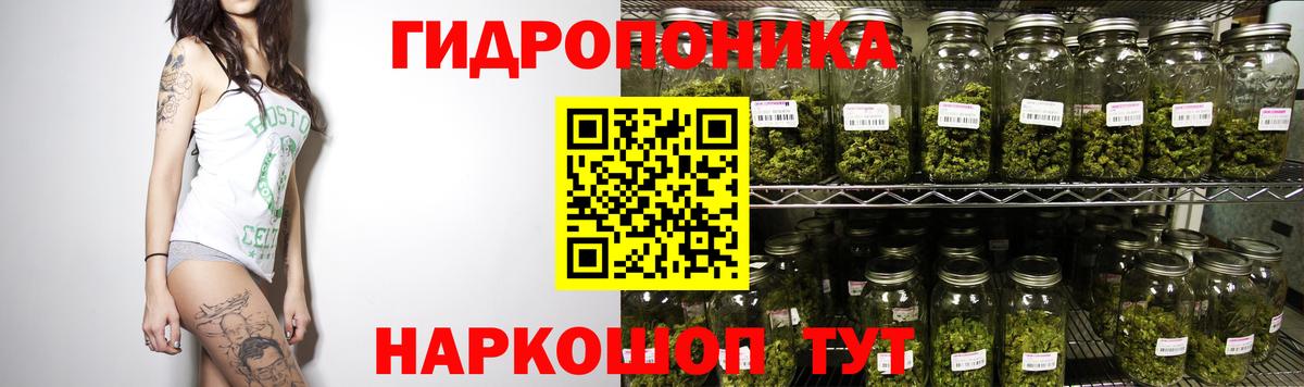 Марихуана план Петрозаводск